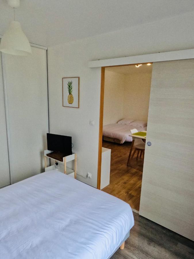 Appartement Cosy Joué-lés-Tours Bagian luar foto